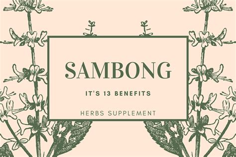 lakad bulan|Herbs Supplement: SAMBONG [13 Health Benefits] .